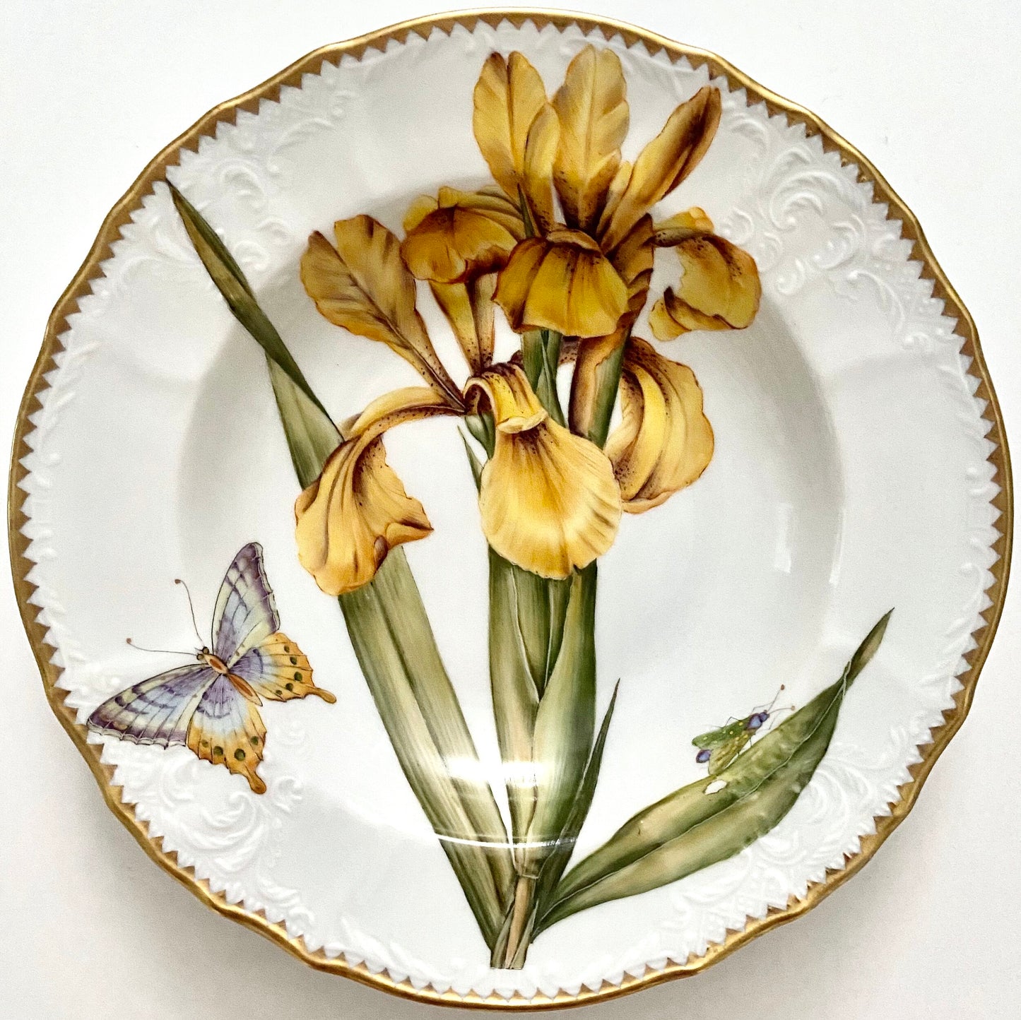 TX100 - Botanical Art Soup/Pasta Plate