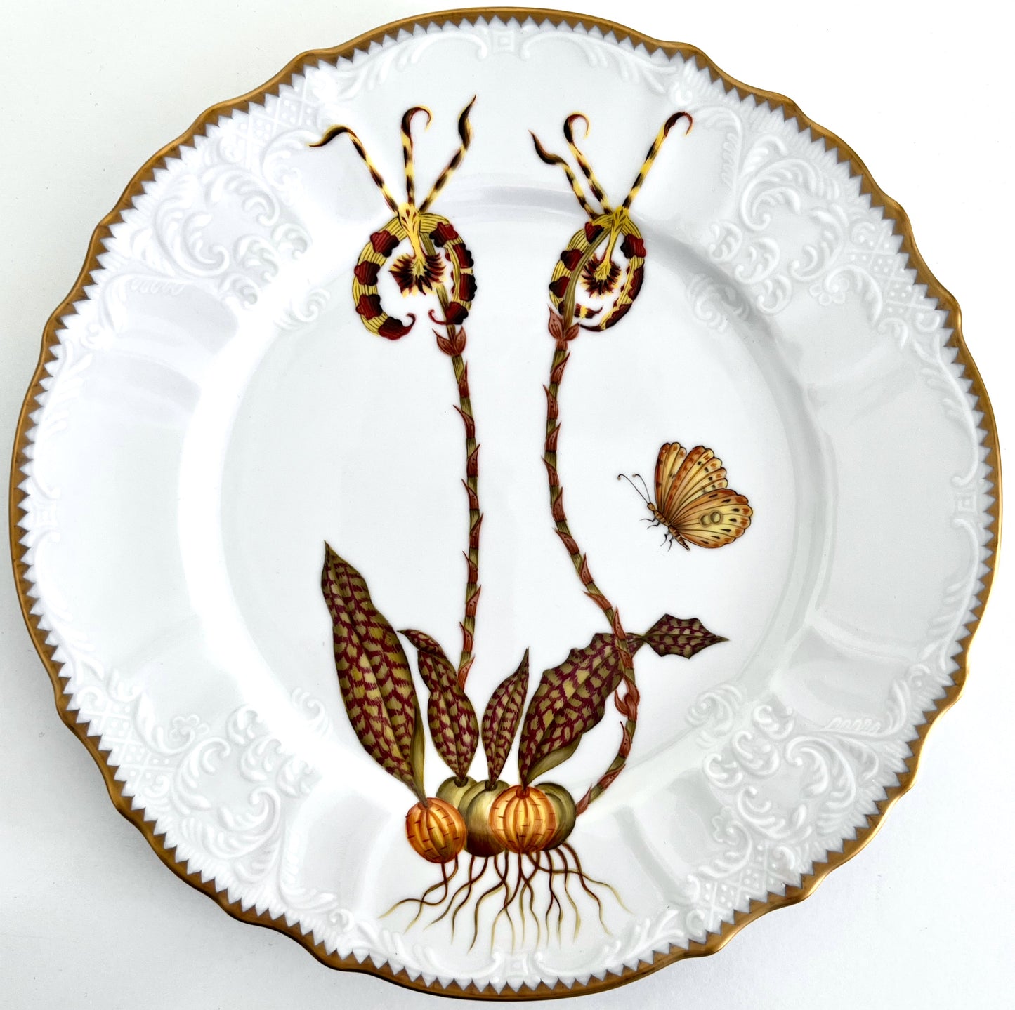 OR1 - Orchid Dinner Plate