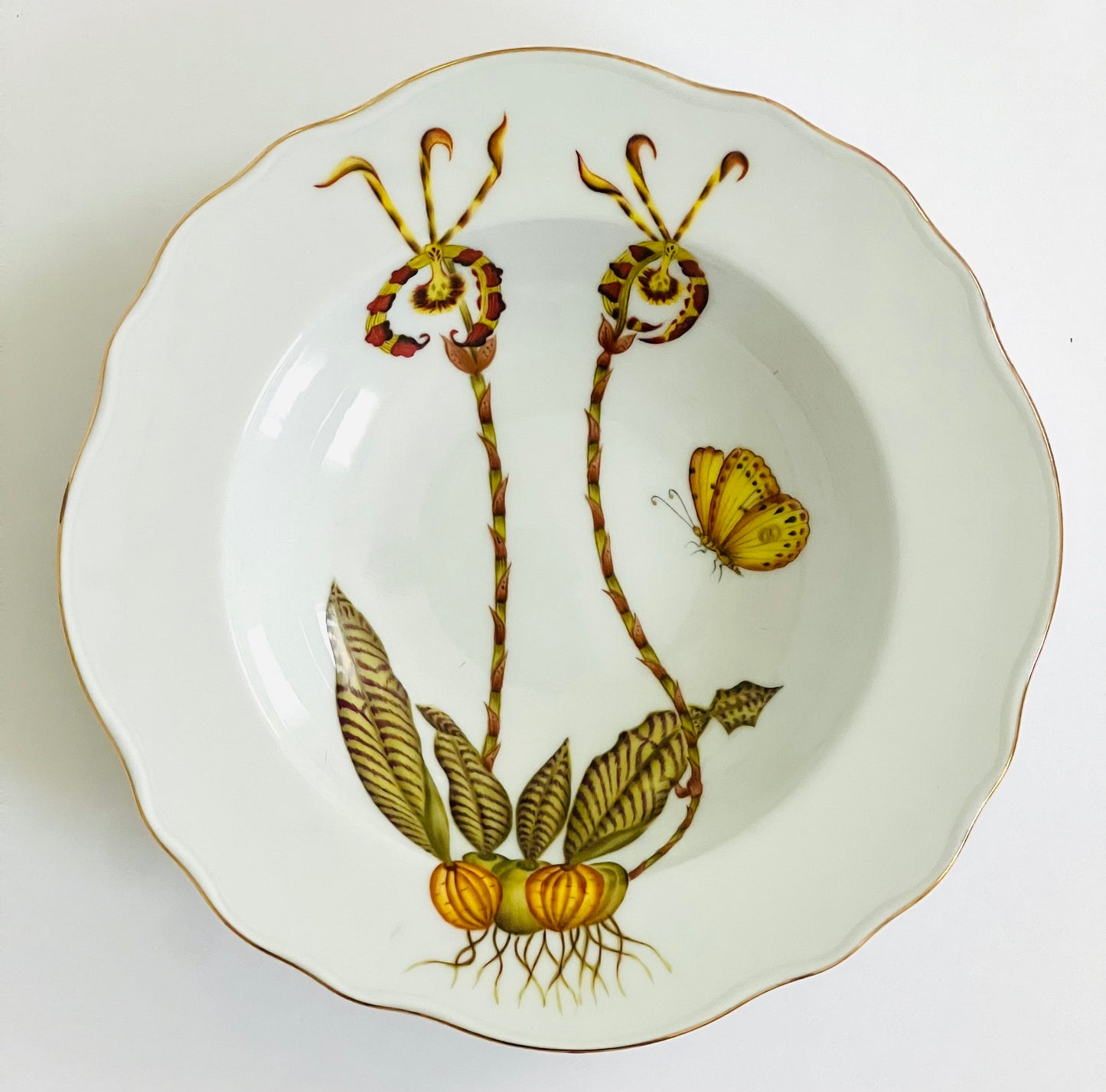 OR1R - Soup/Pasta Plate