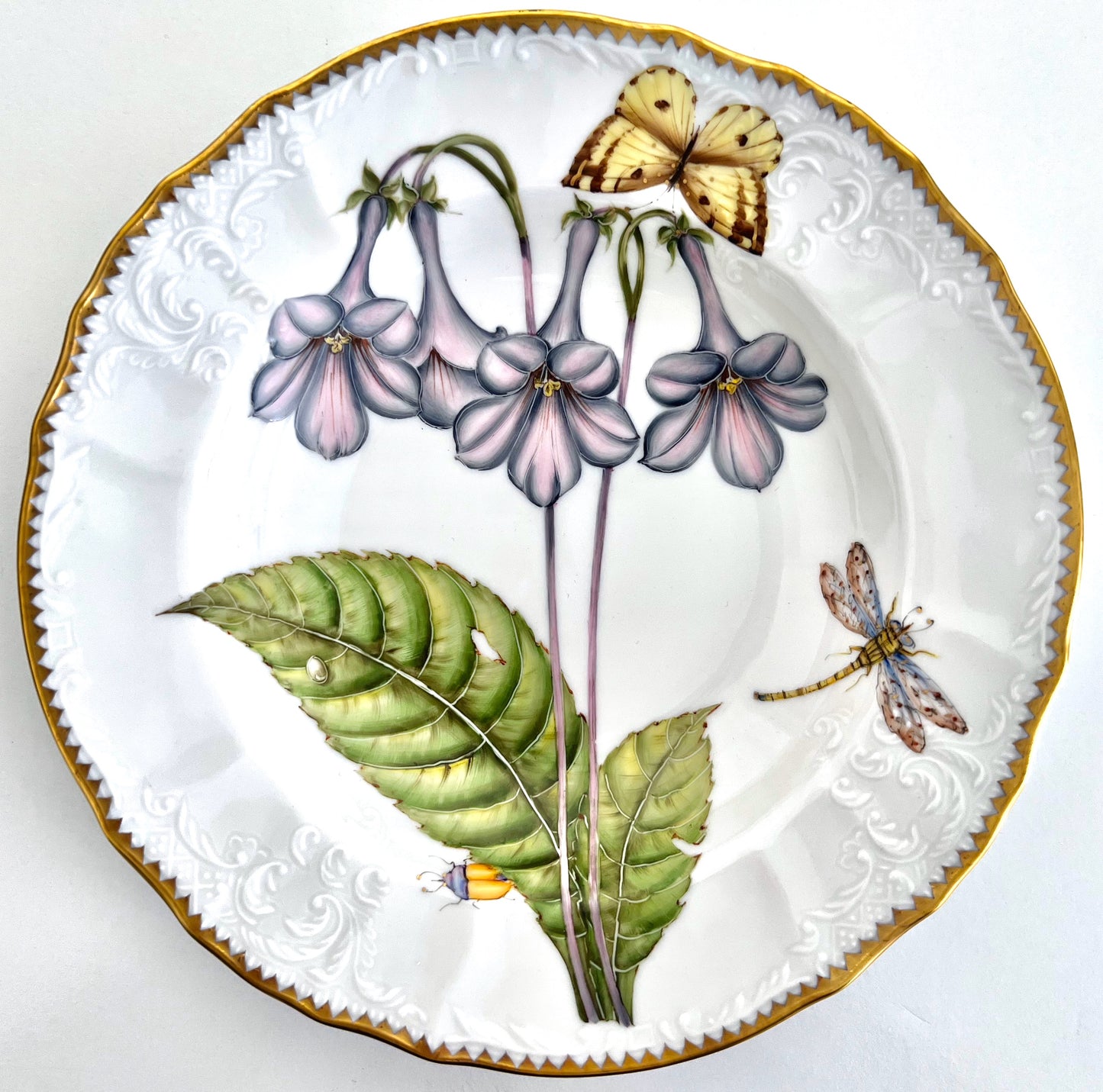 BBSP34 - Soup/Pasta Plate