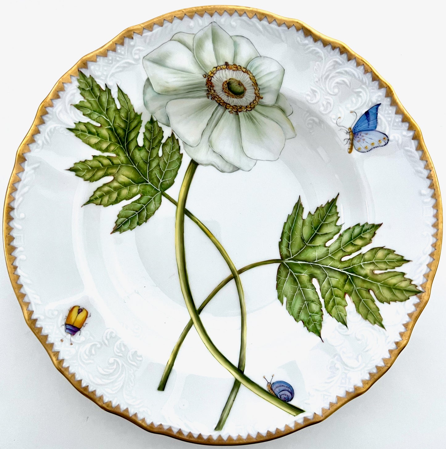 TX16 - Soup/Pasta Plate