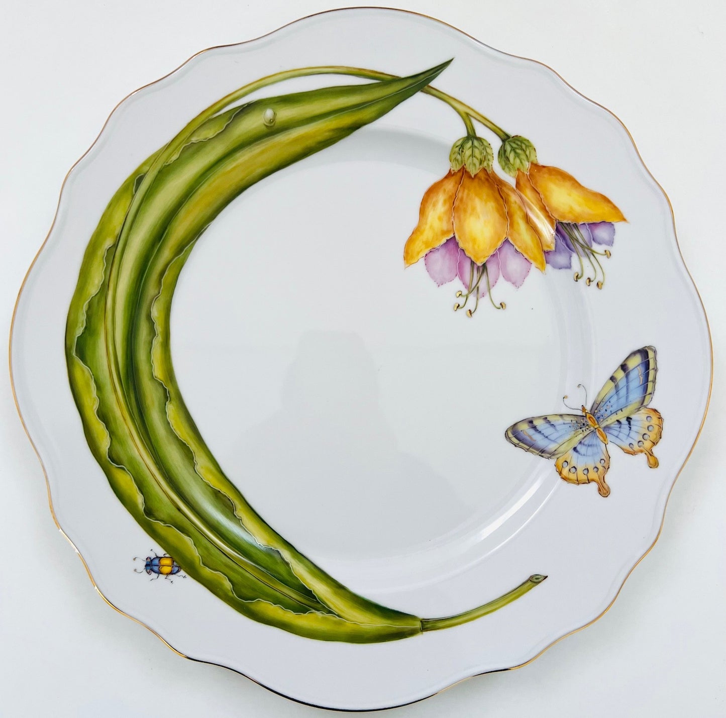 ME23 - Scalloped Dinner Plate