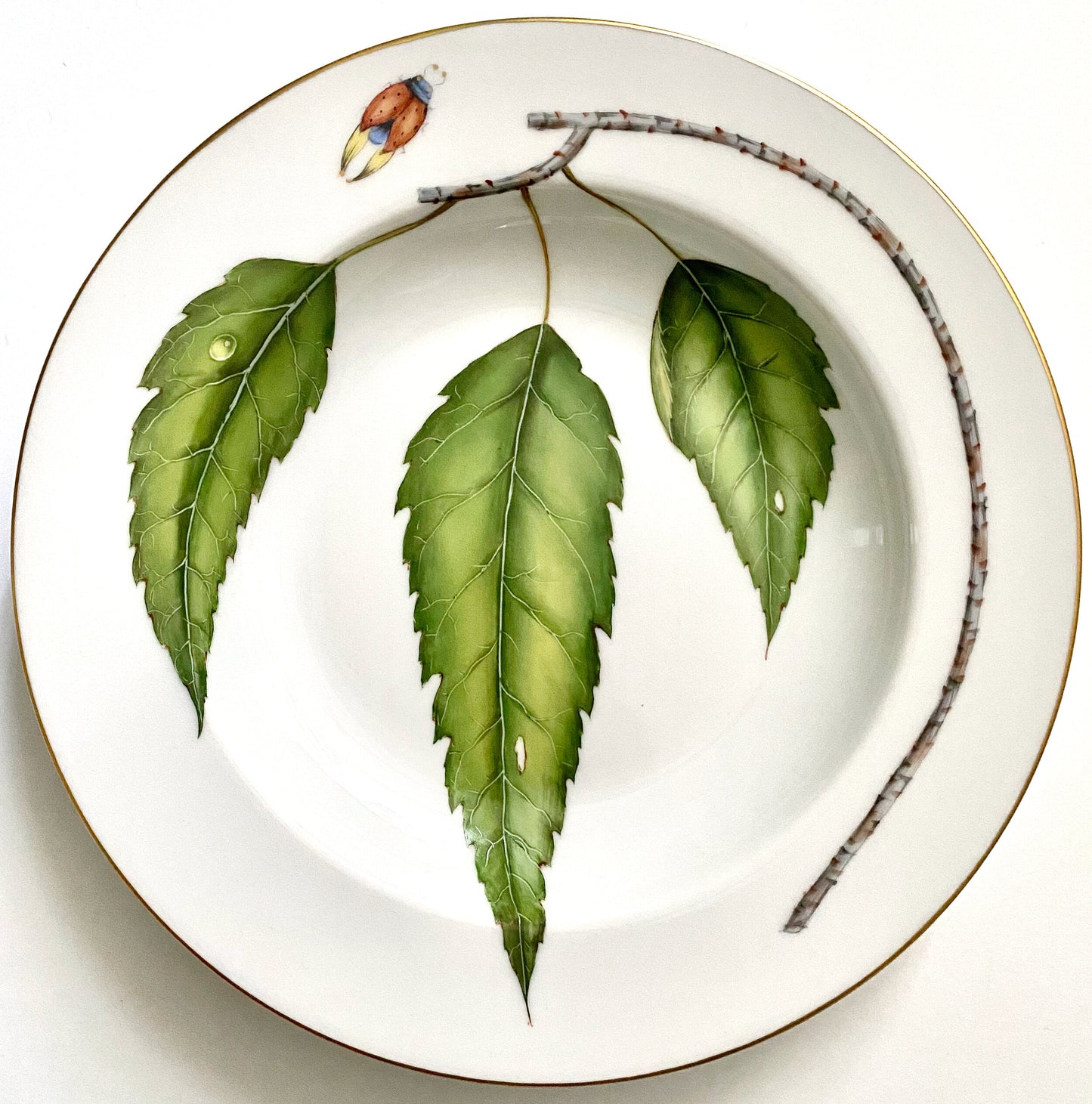 KA11 - Gold Border Soup/Pasta Plate
