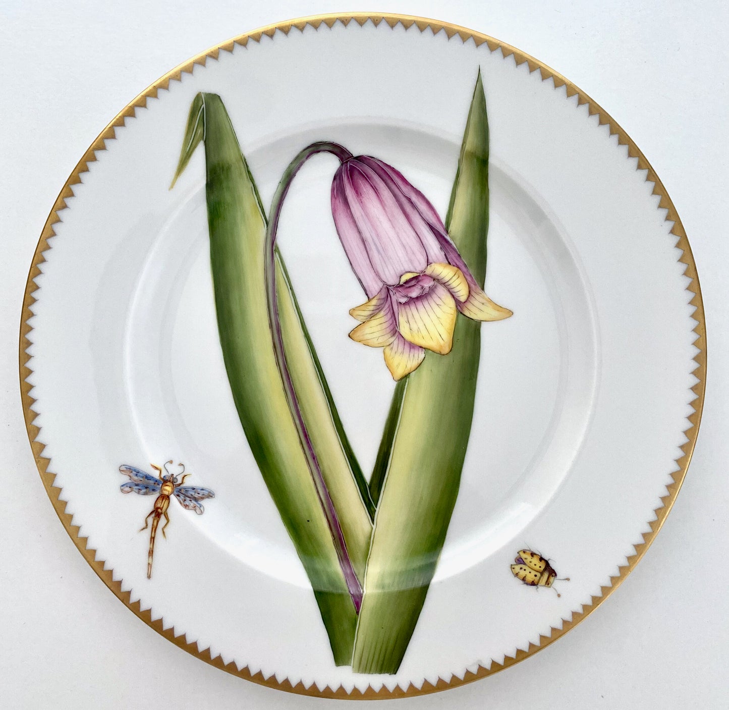 BP10 - Salad/Dessert Plate