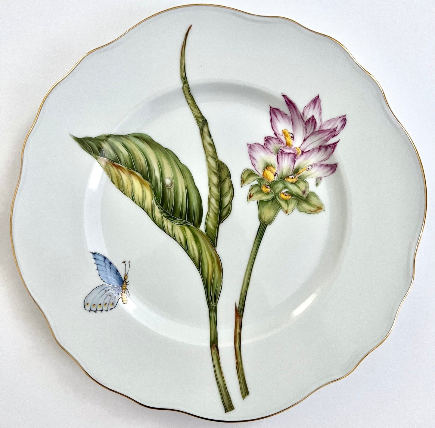 PL24 - Salad/Dessert Plate