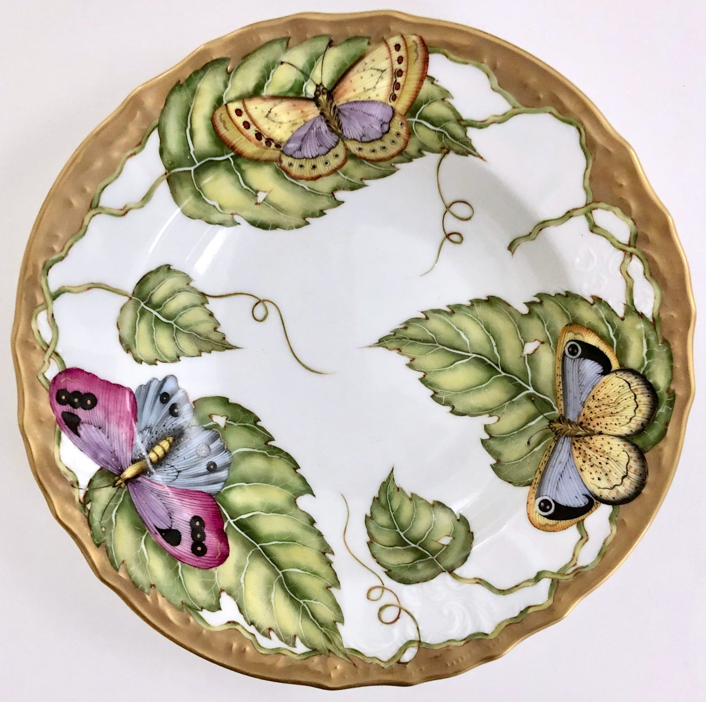 VL2 - Exotic Butterflies Soup/Pasta Plate