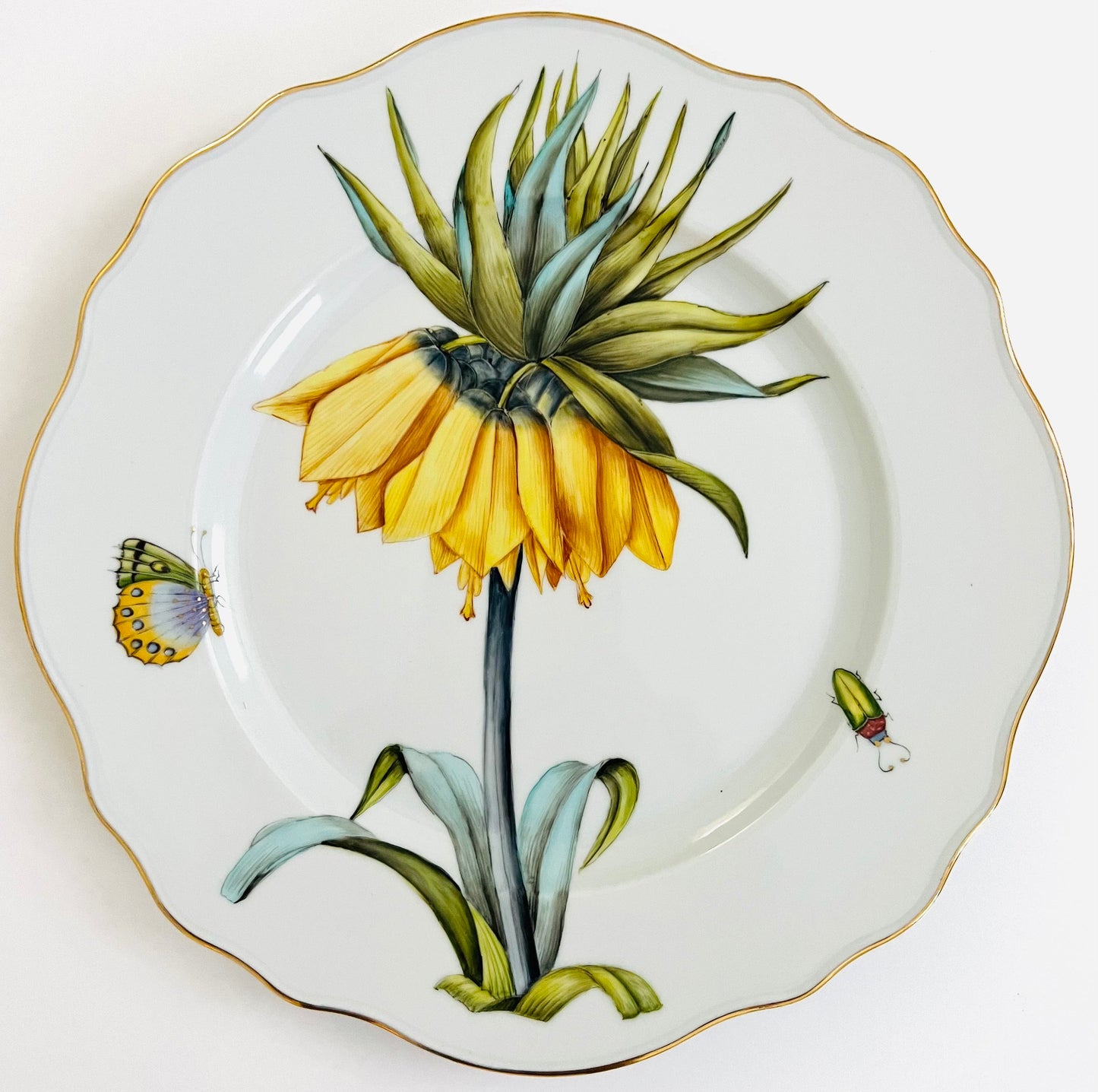 FG93 - Dinner plate