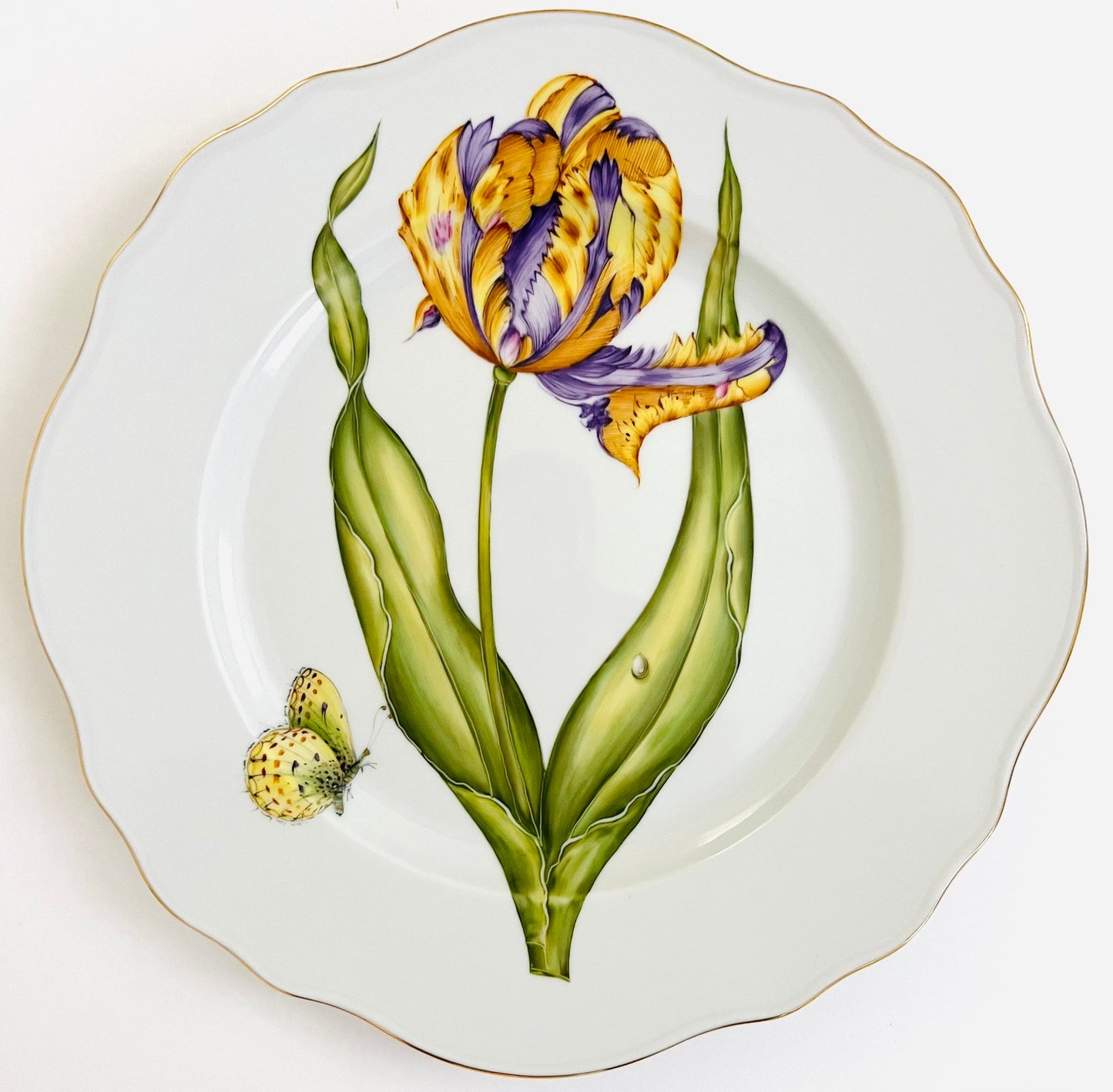 FG95 - Dinner plate