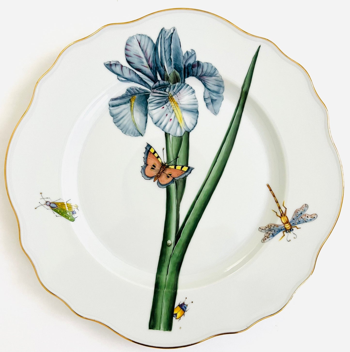 FG96 - Dinner plate