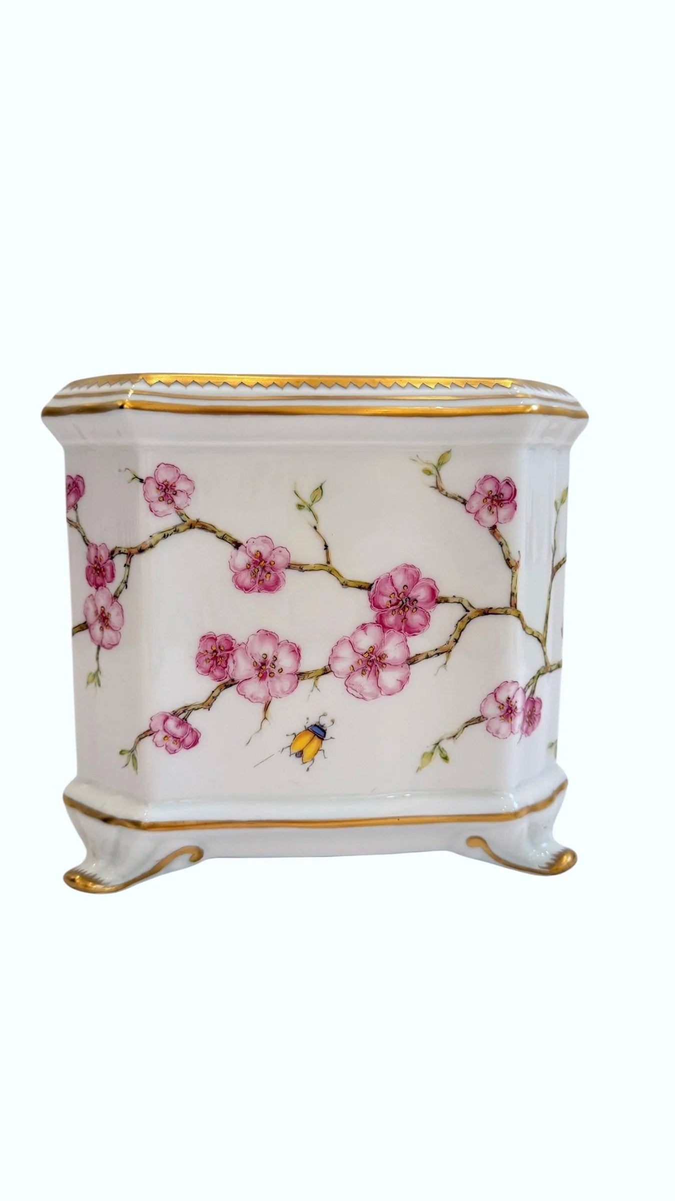 CBS66 - Cherry Blossom Cachepot/Planter