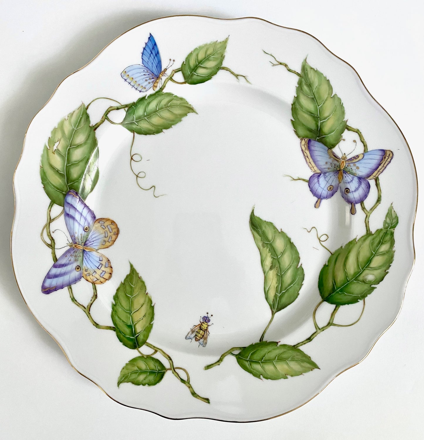 ZE3 - Dinner Plate