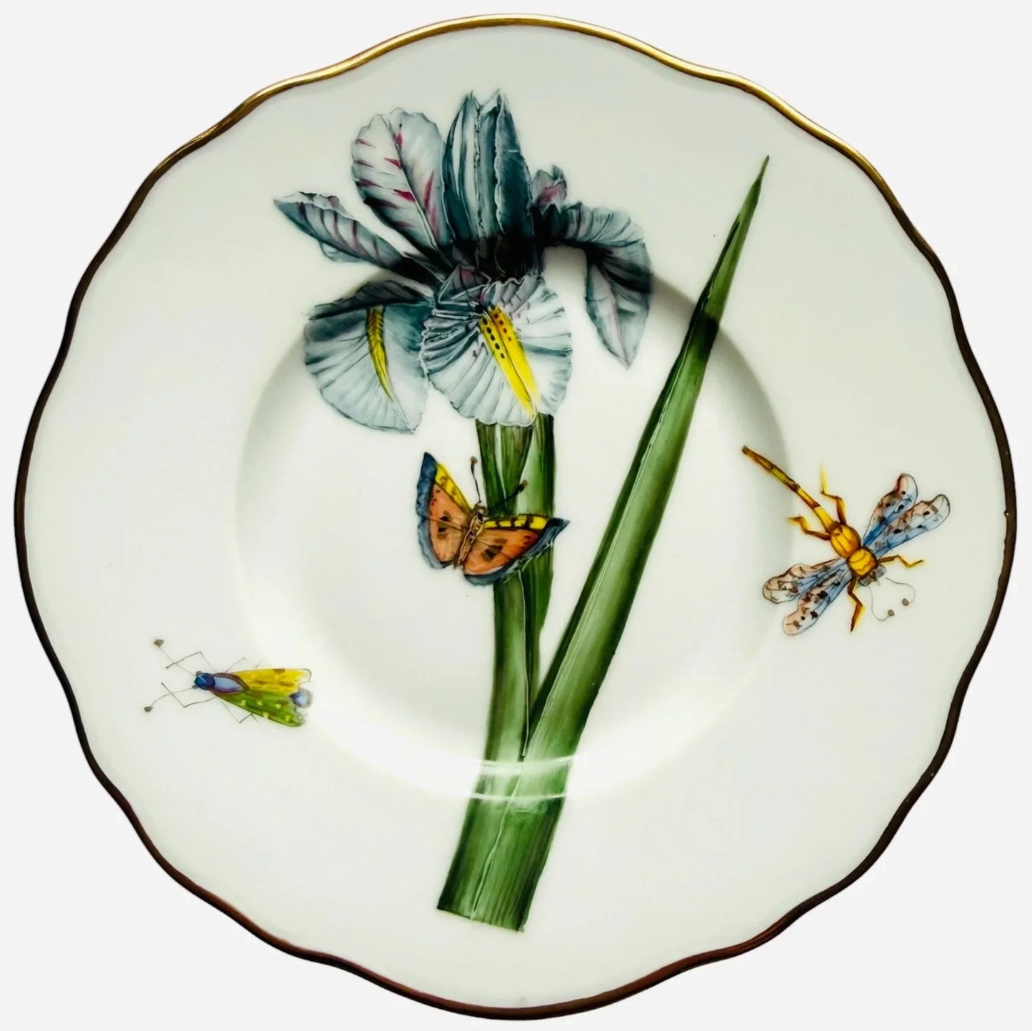 IRS76 - Iris Bread and Butter Plate