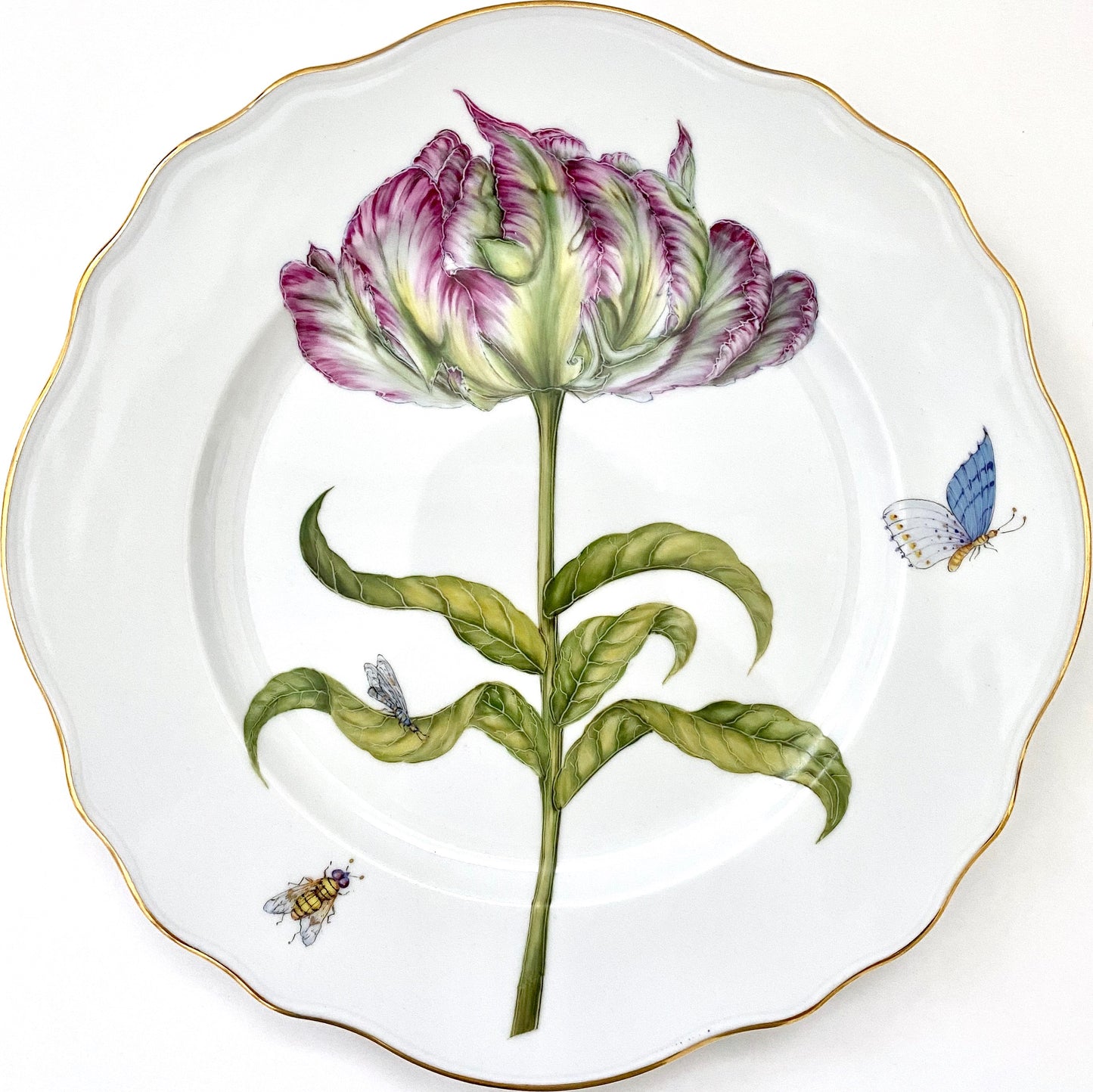 FG4 - Dinner Plate
