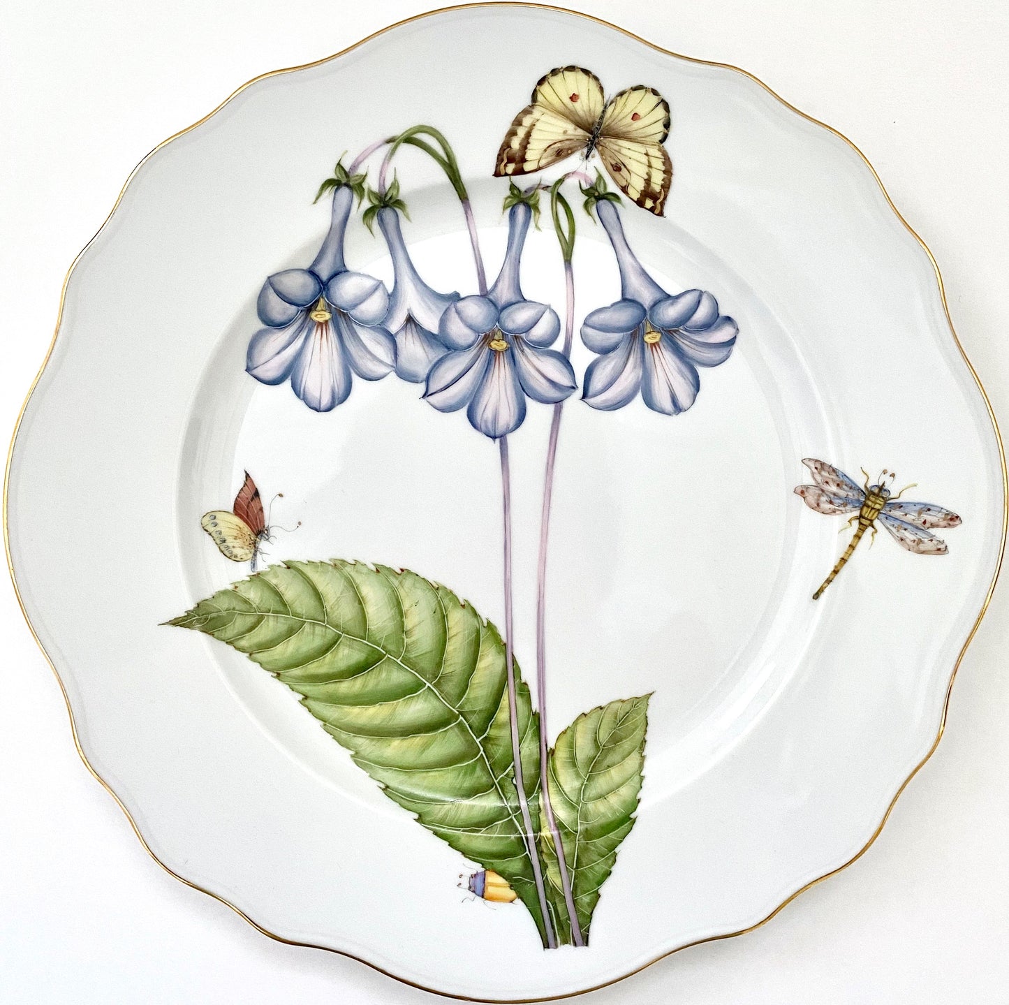 FG6 - Dinner Plate
