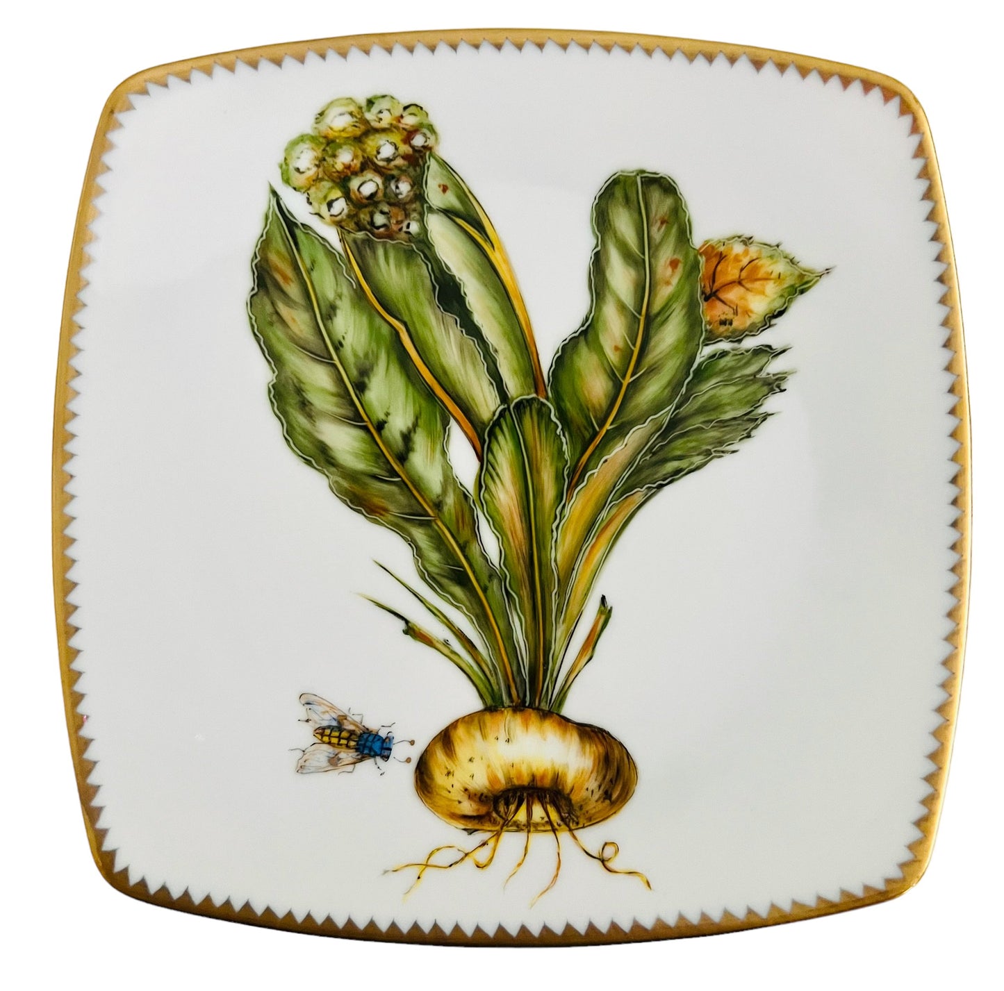 VG6 - Salad/Dessert/Luncheon Plate