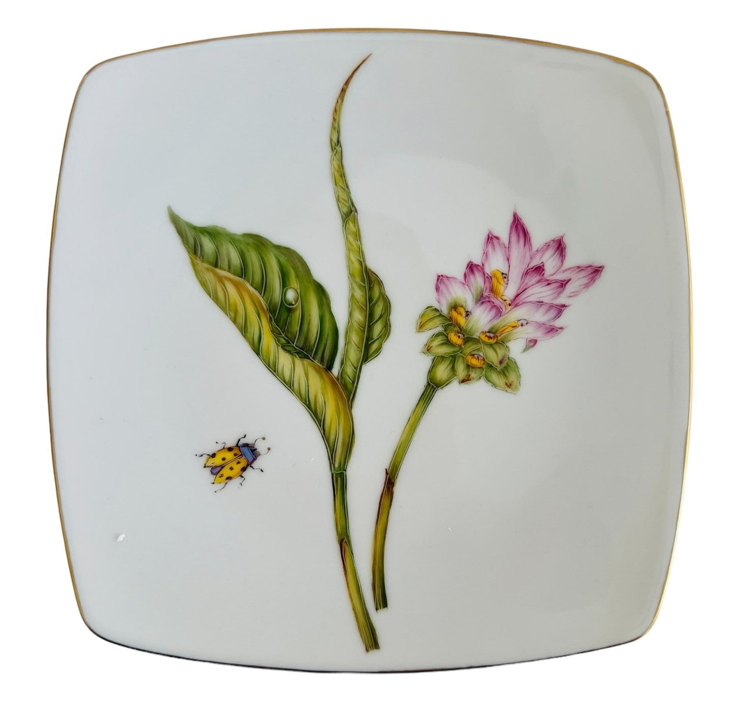 PKF765 - Luncheon/Salad/Dessert Plate