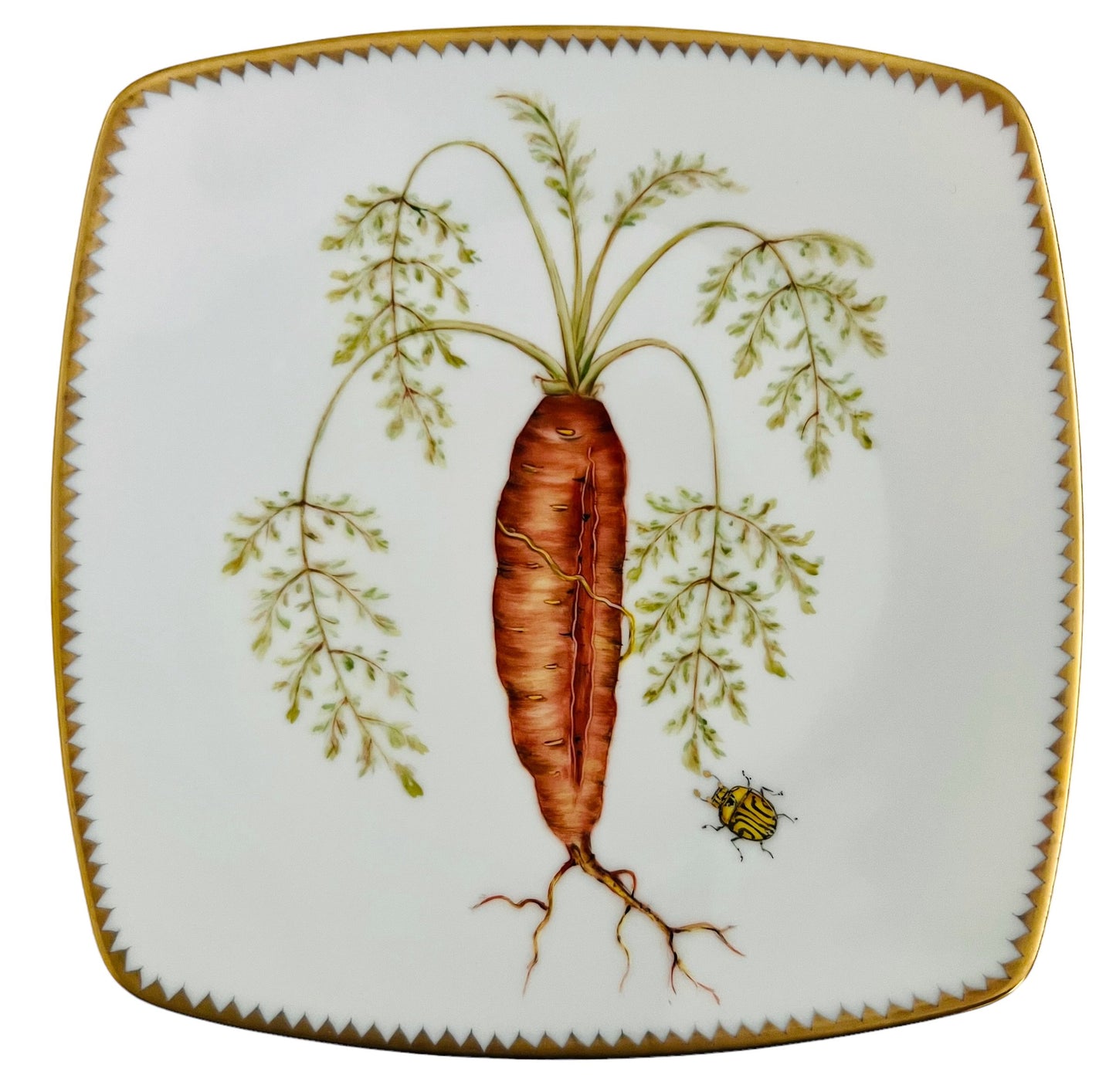 VG4 - Salad/Dessert/Luncheon Plate