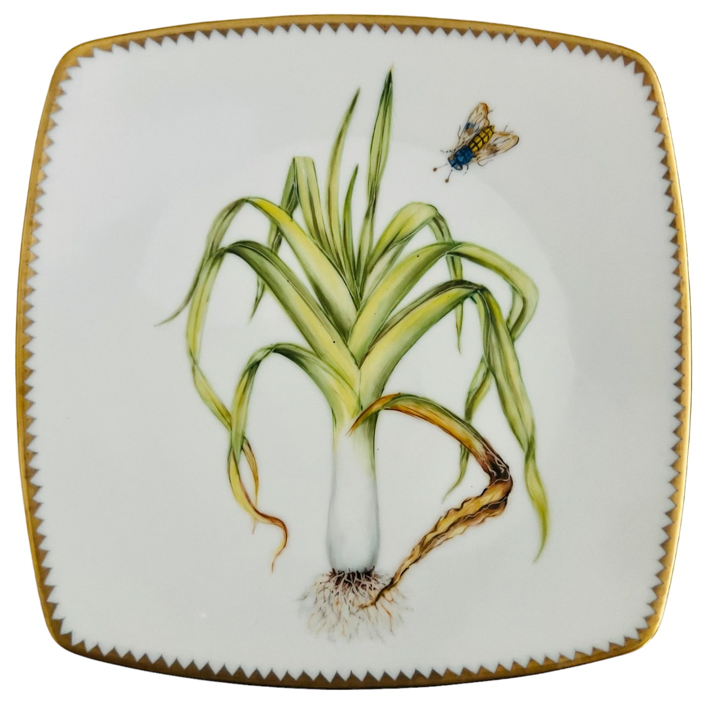 VG2 - Salad/Dessert/Luncheon Plate