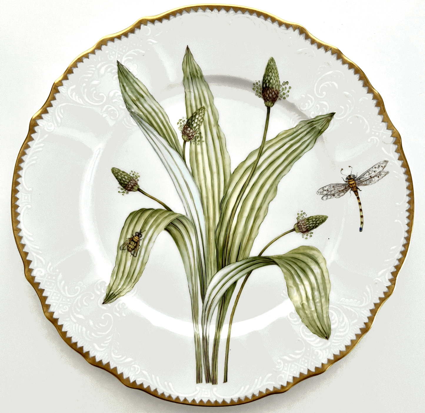 EG8 - Dinner Plate