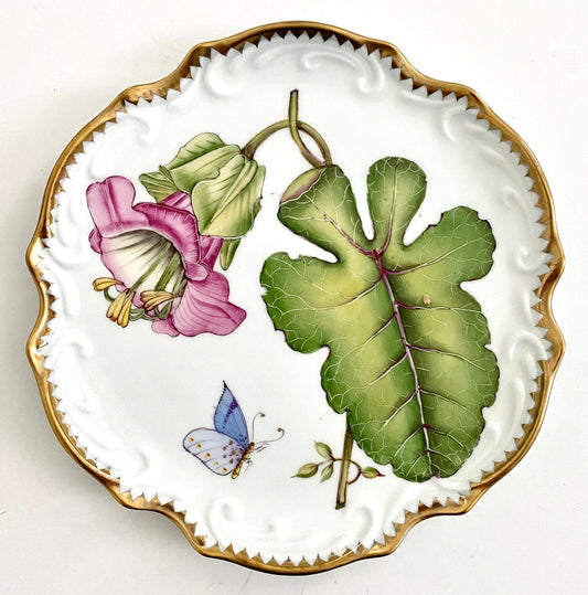 SP14 - Bread and Butter/Dessert Plate