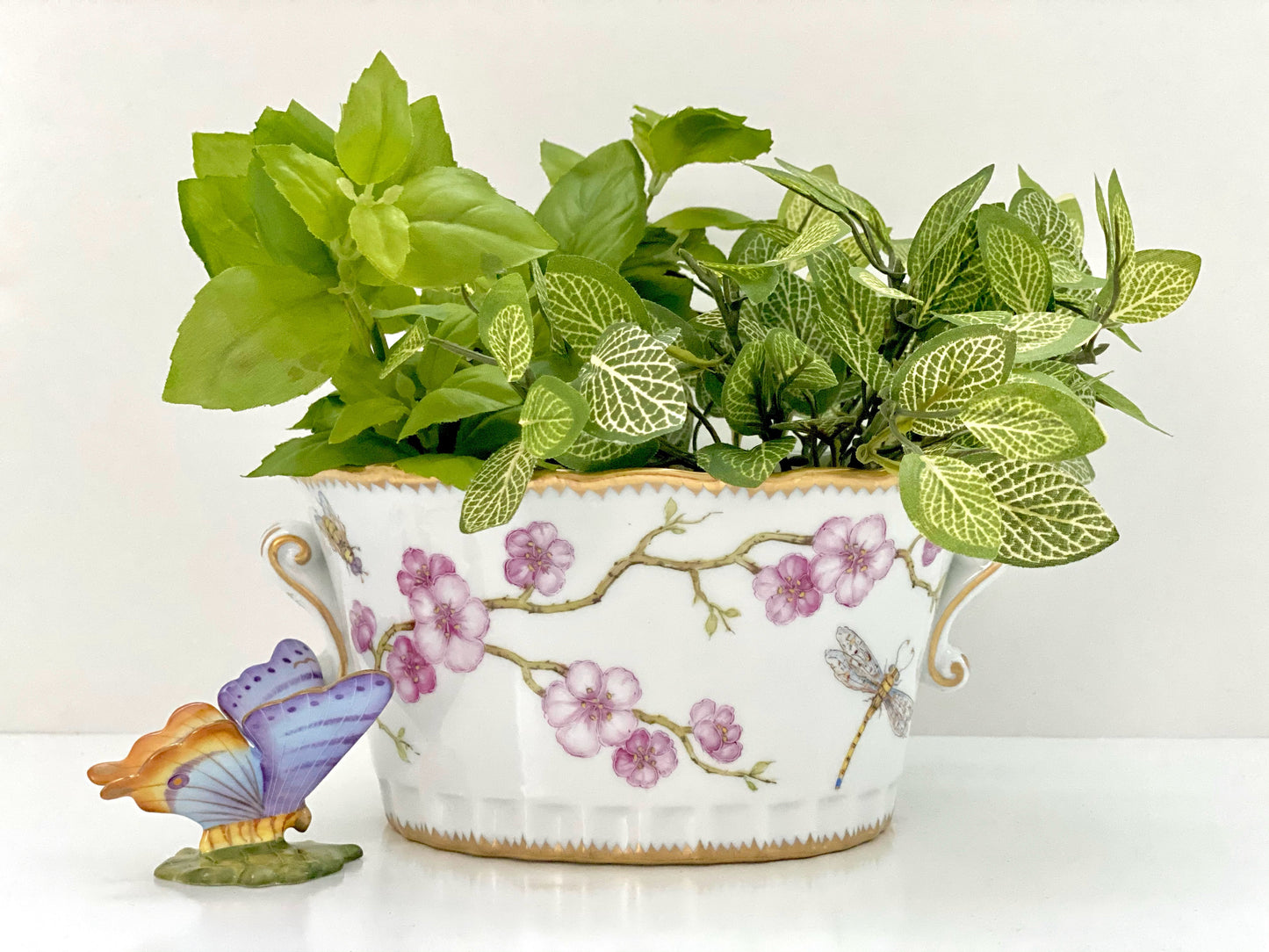 BH64 - Oval Cachepot