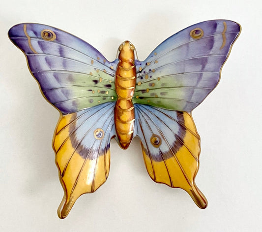H31 - Butterfly