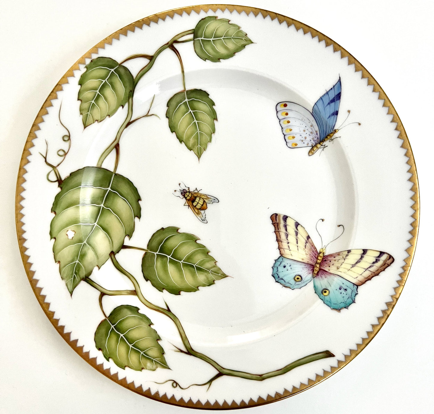 GL2- Salad/Dessert Plate