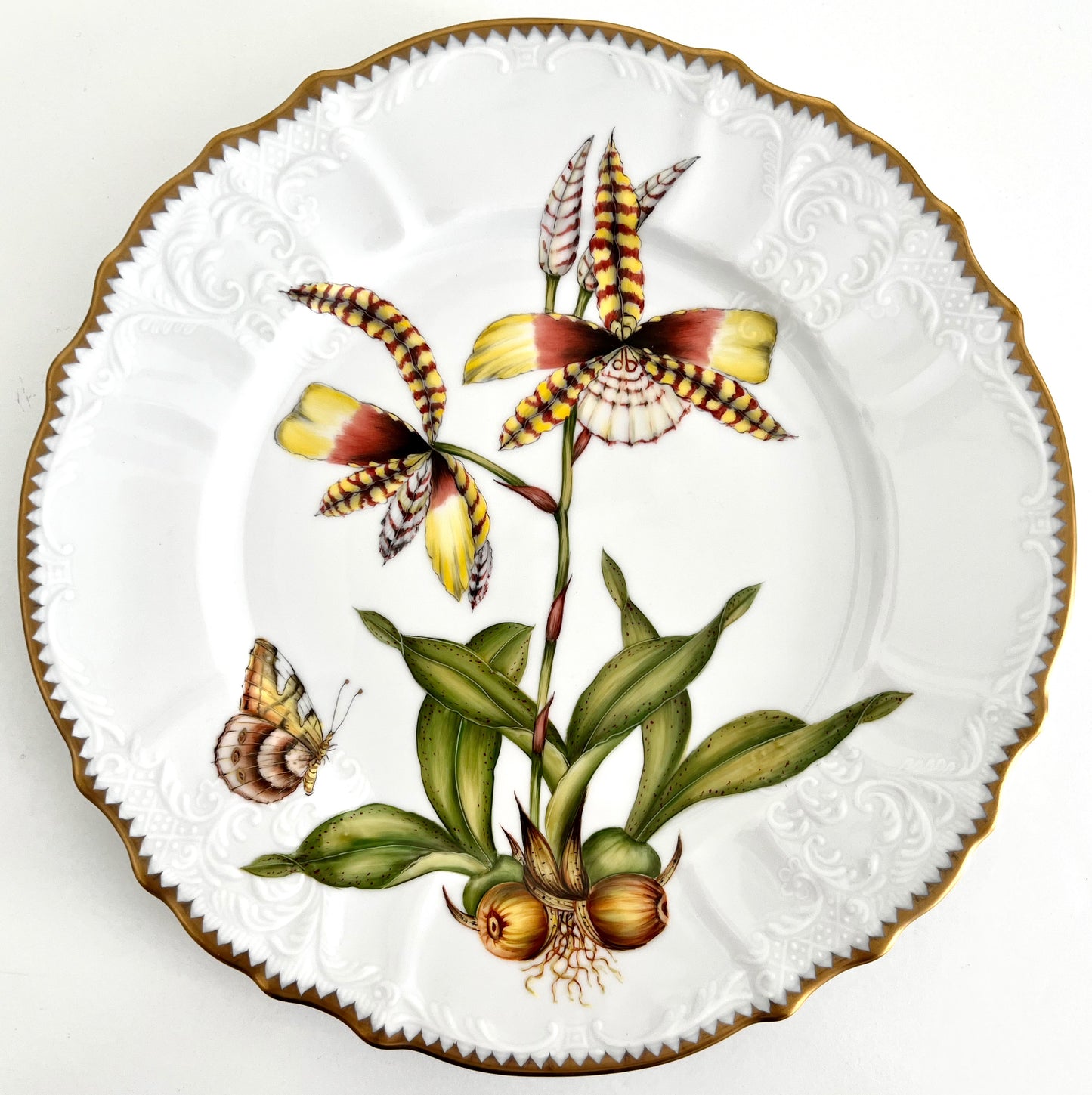 OR4 - Orchid Dinner Plate