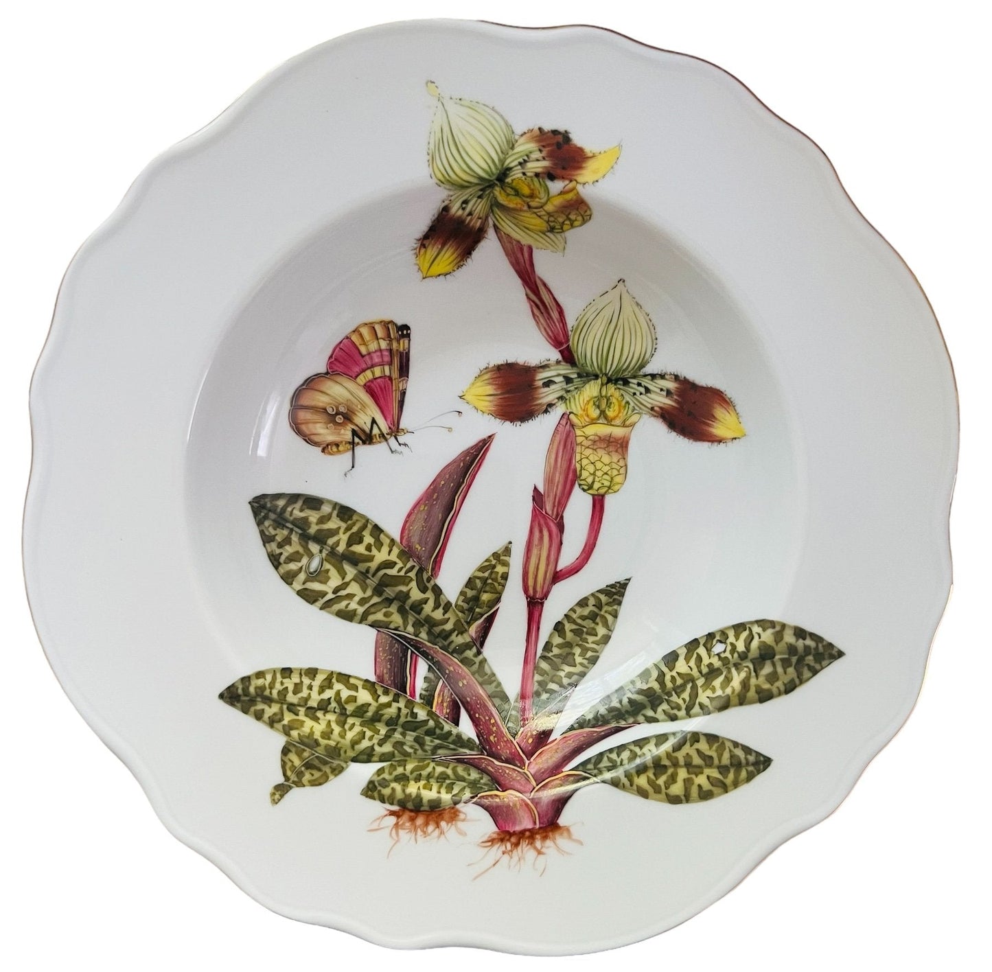 OR5R -  Soup/Pasta Plate