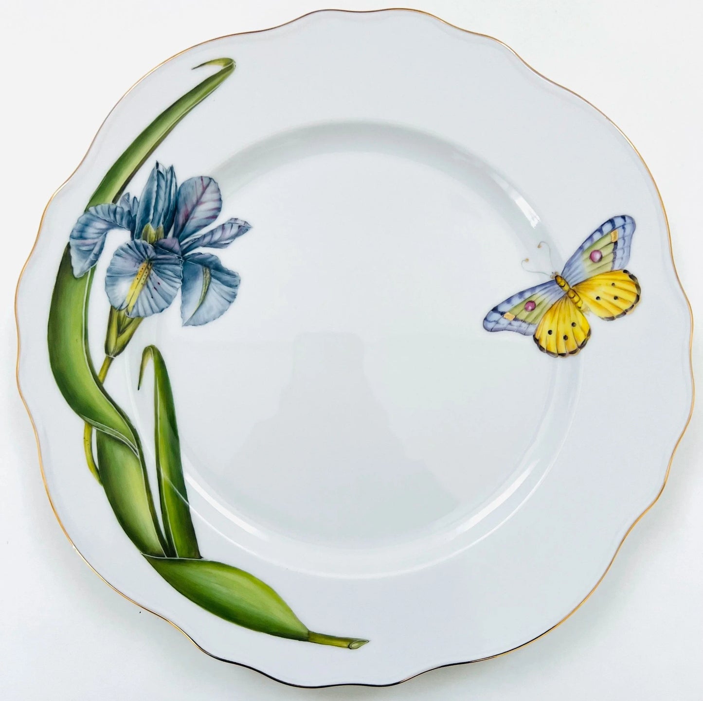 ME22 - Scalloped Dinner Plate