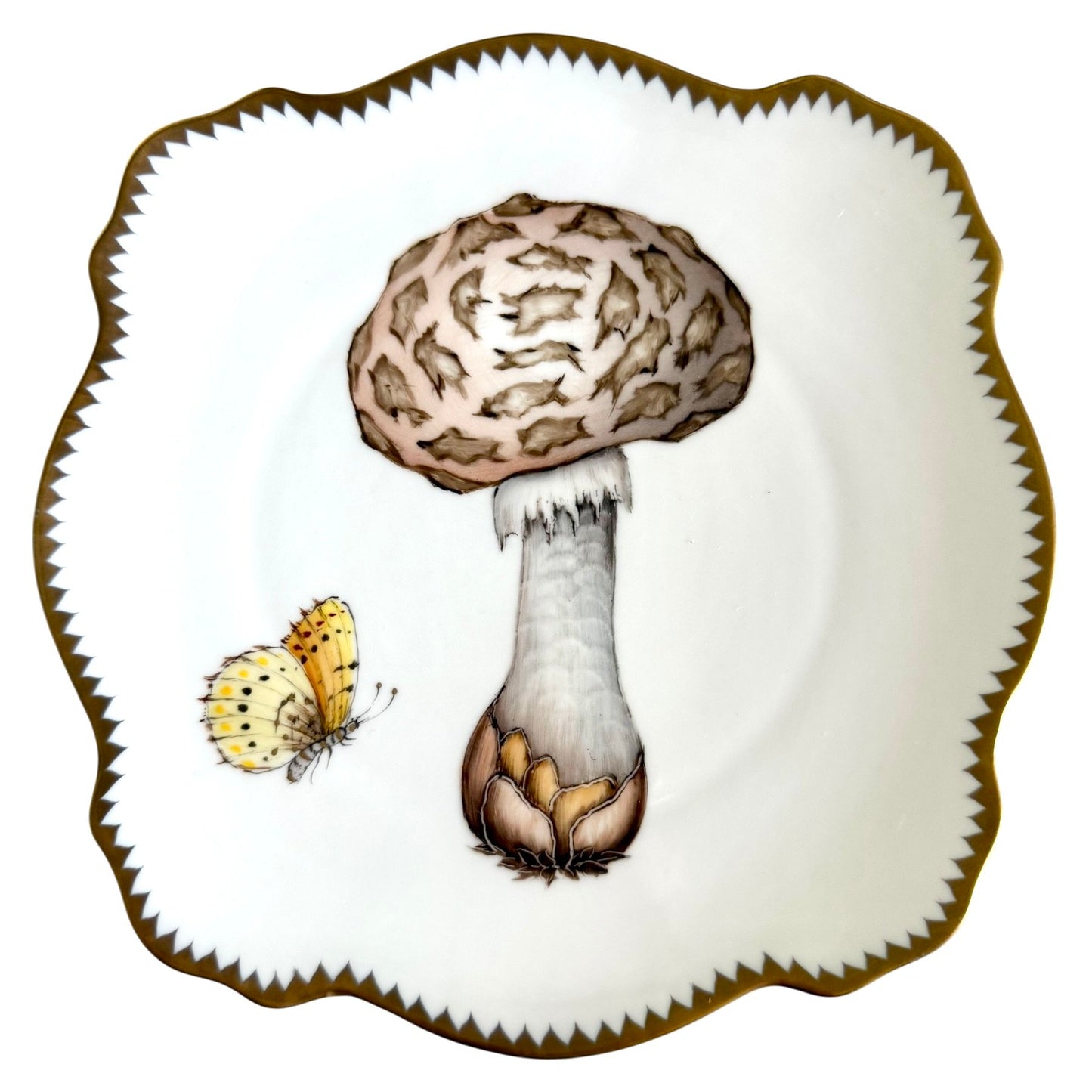 MUS1 - Mushroom Plate