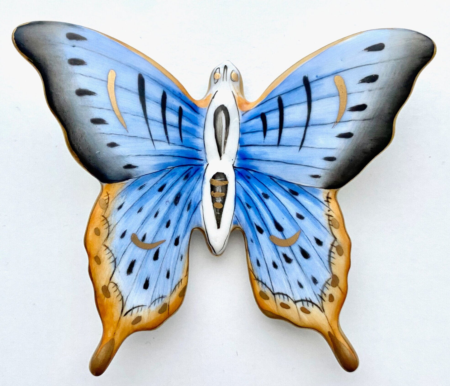 H30 - Butterfly
