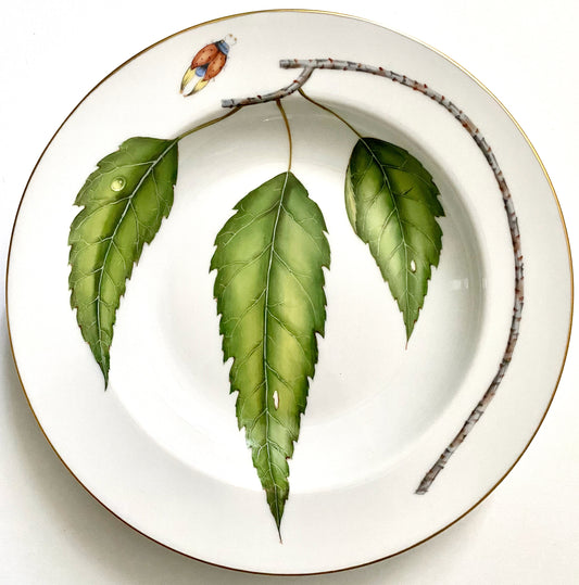 KA11 - Gold Border Soup/Pasta Plate