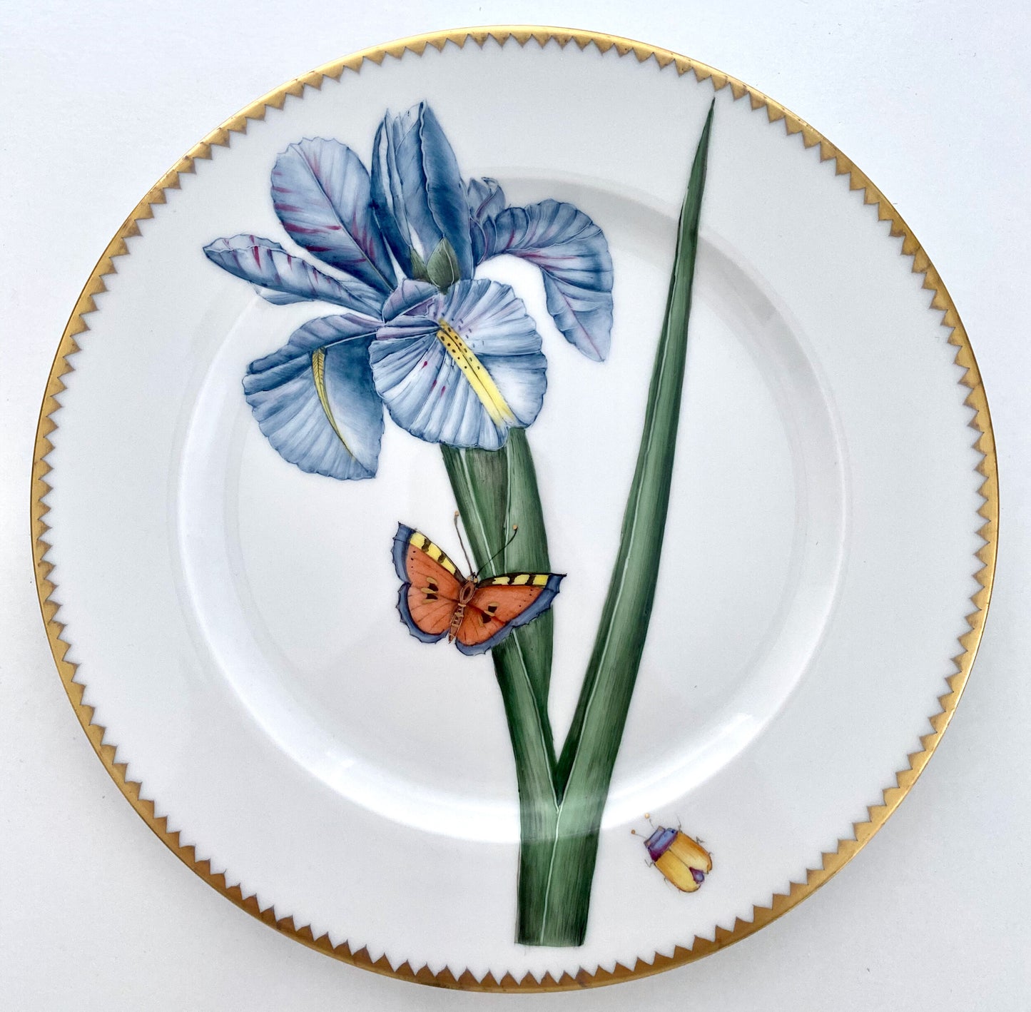 BP11 - Salad/Dessert Plate