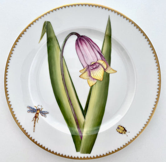 BP10 - Salad/Dessert Plate