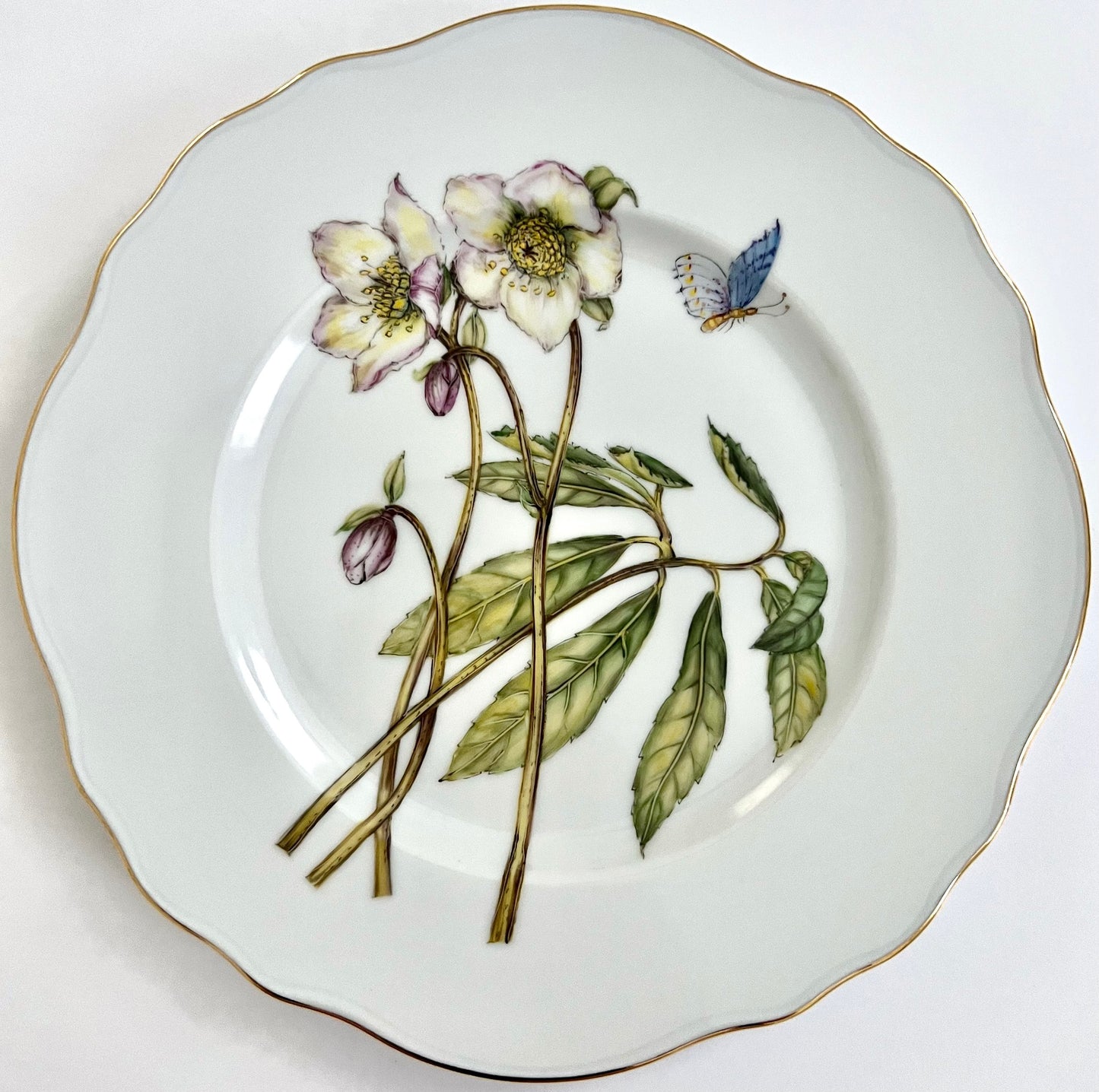 PL25 - Salad/Dessert Plate