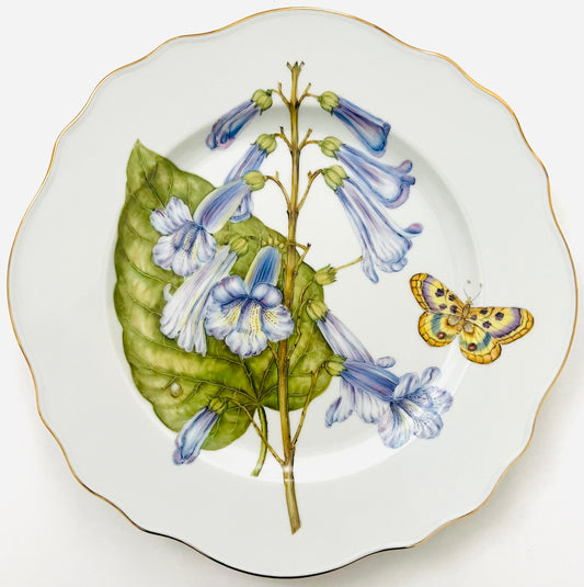 FG8 - Dinner plate