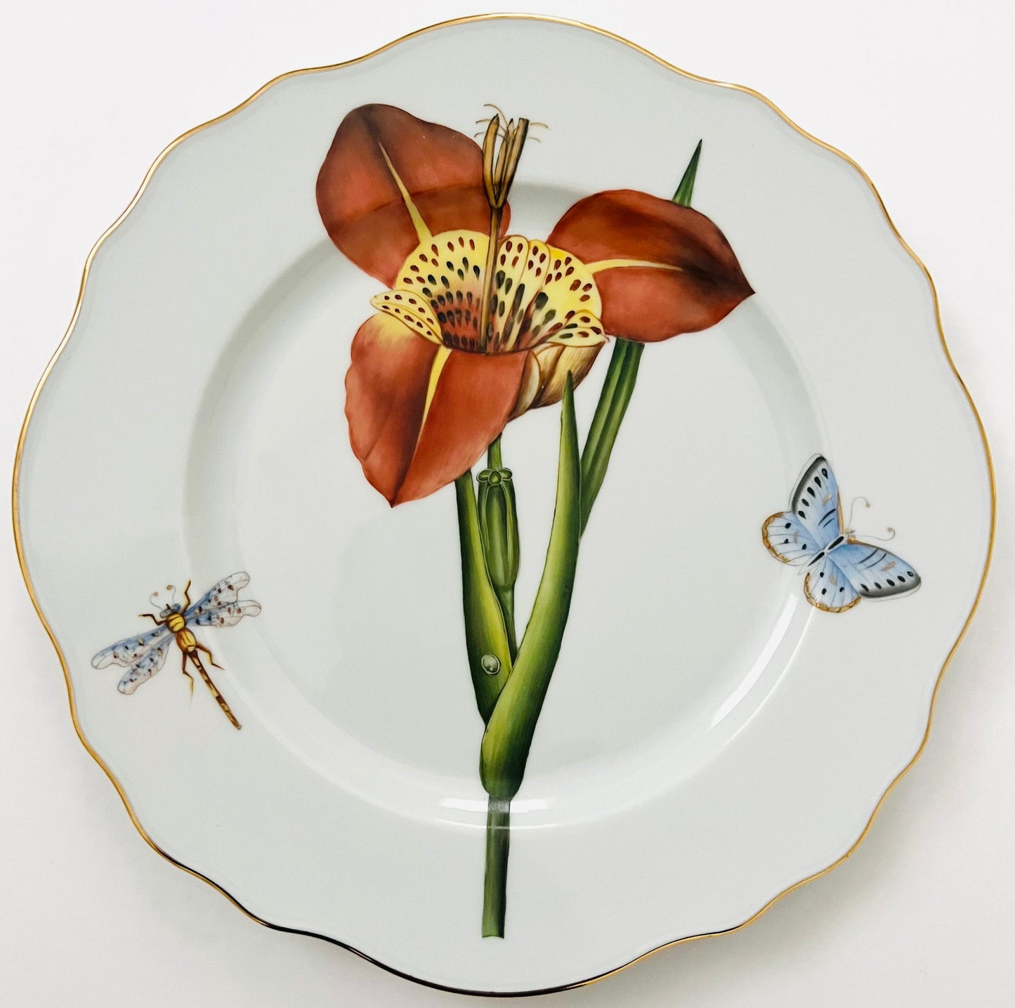 FG7 - Dinner plate