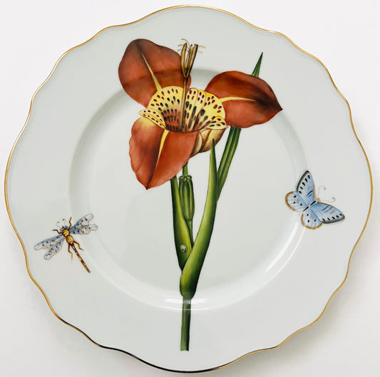FG7 - Dinner plate