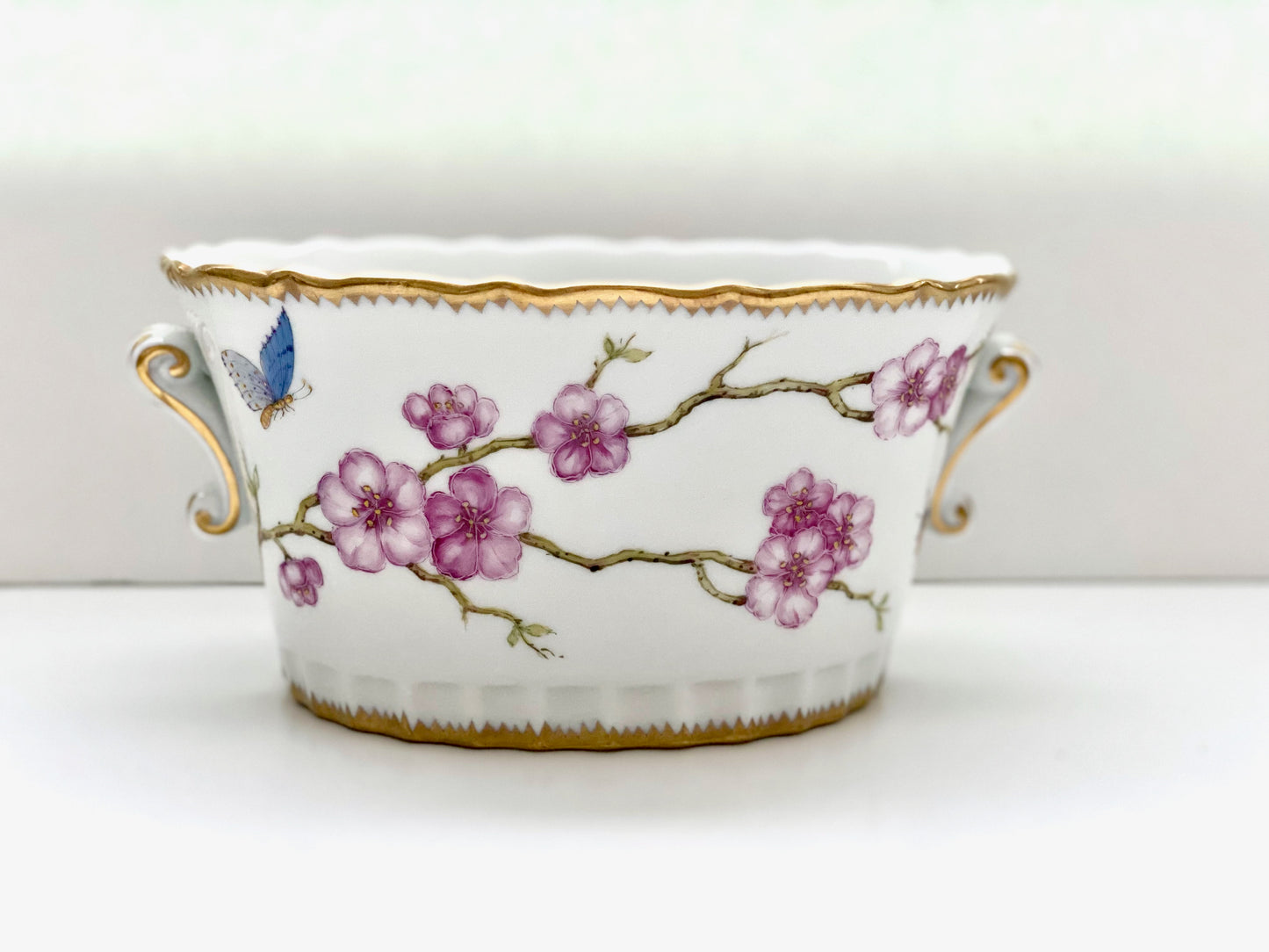 BH64 - Oval Cachepot