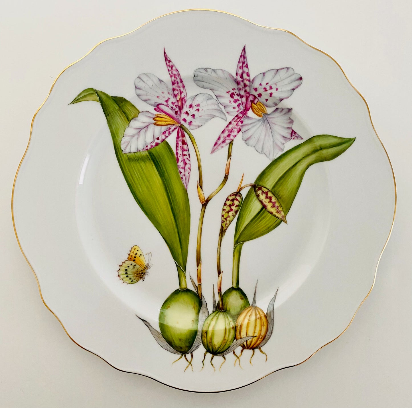 ORS2 - Orchid Dinner Plate