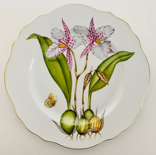 ORS2 - Orchid Dinner Plate