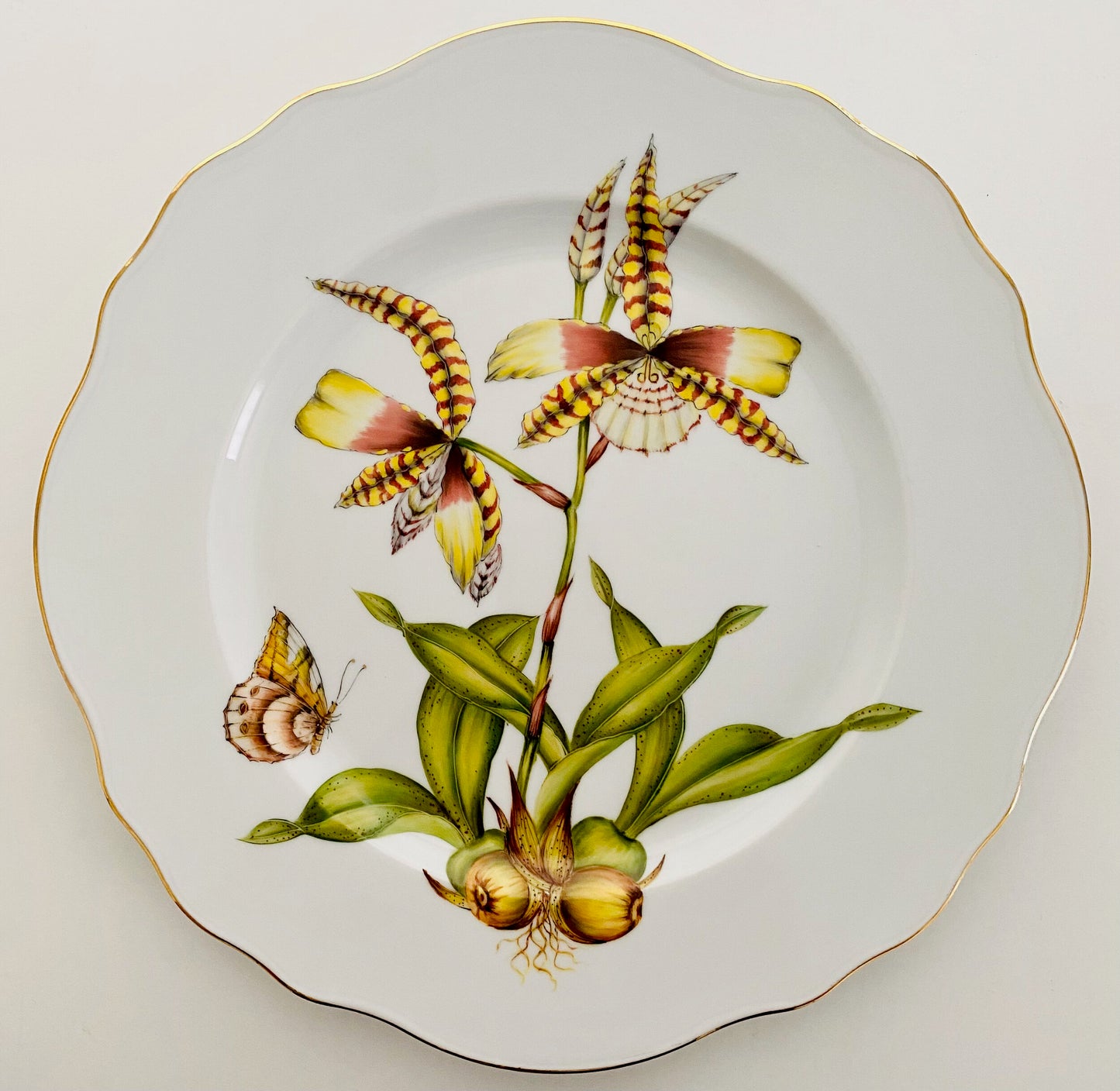 ORS4 - Orchid Dinner Plate