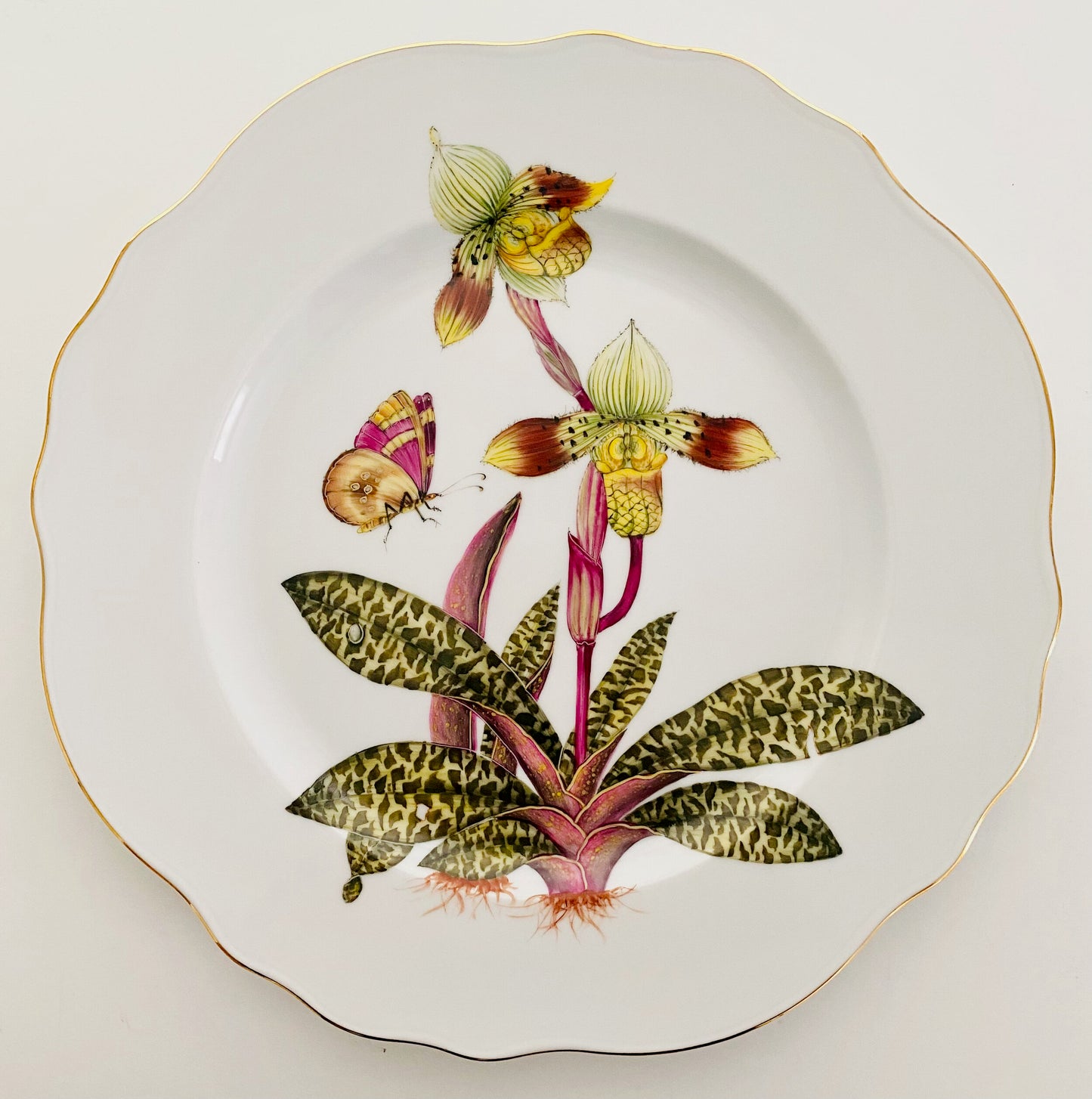 ORS5 - Orchid Dinner Plate
