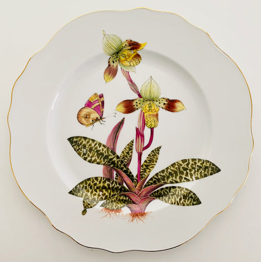 ORS5 - Orchid Dinner Plate