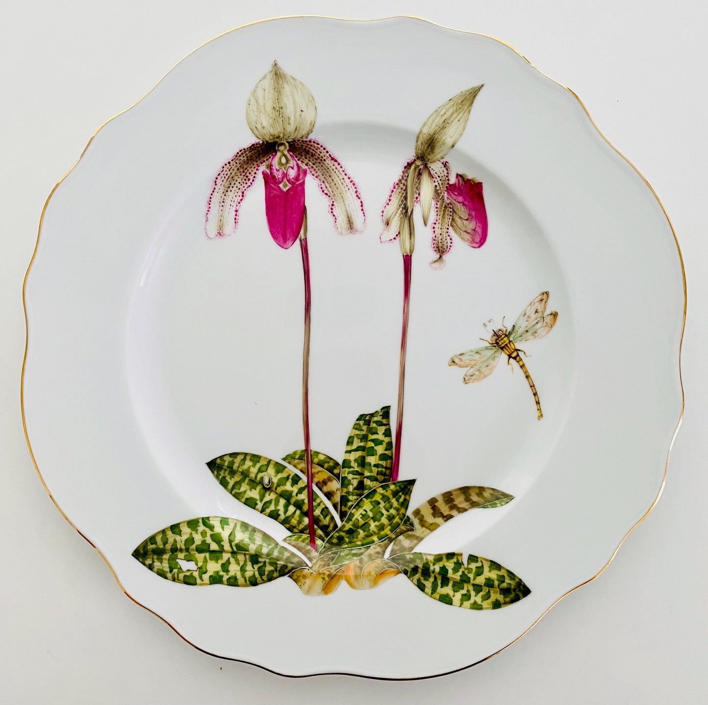 ORS3 - Orchid Dinner Plate