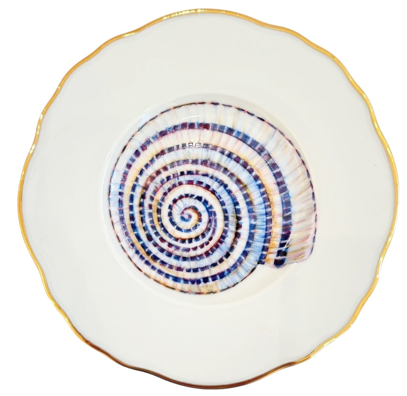 SH4P - Seashell Bread & Butter/Appetizer Plates