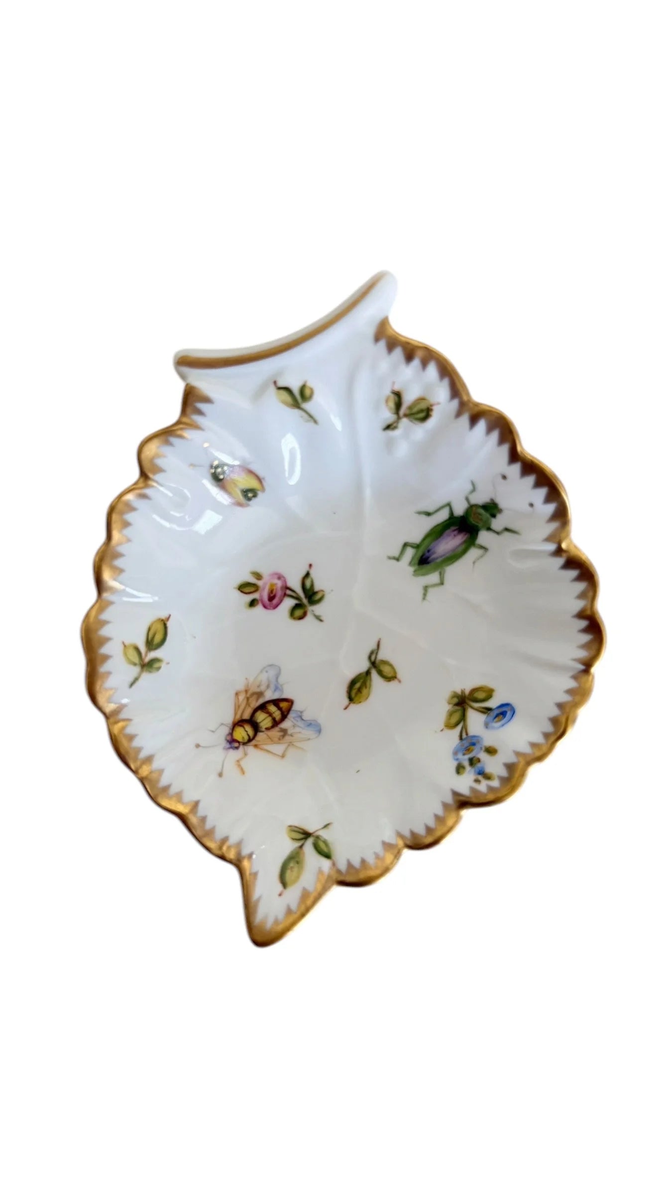 NNL3 - Small Dish