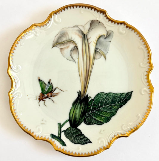 00 - Appetizer/Bread and Butter Plate