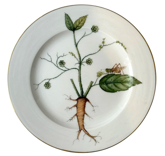 RT66 - Salad/Dessert Plate